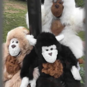 Plush Monkey, Premium style, Alpaca Huacaya