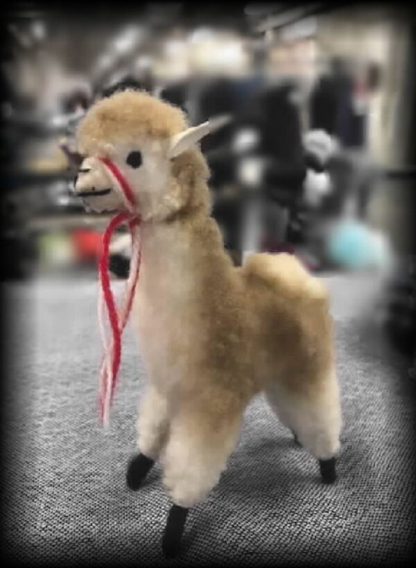 Extra Tiny vicuna