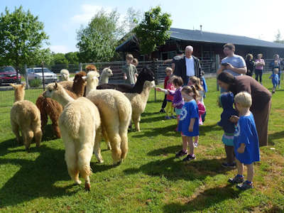 West Park Alpaca Farm