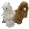 Alpacas Suri Tiny - Image 12