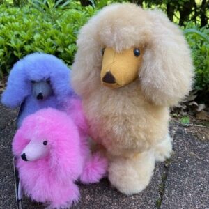 Poodles